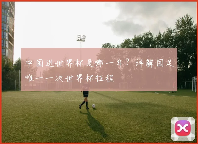 中国进世界杯是哪一年?详解国足唯一一次世界杯征程