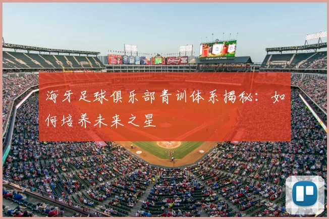 海牙足球俱乐部青训体系揭秘：如何培养未来之星