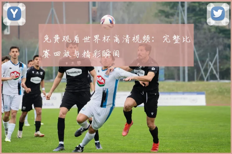 免费观看世界杯高清视频：完整比赛回放与精彩瞬间