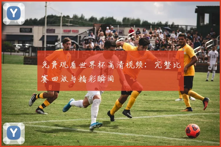 免费观看世界杯高清视频:完整比赛回放与精彩瞬间