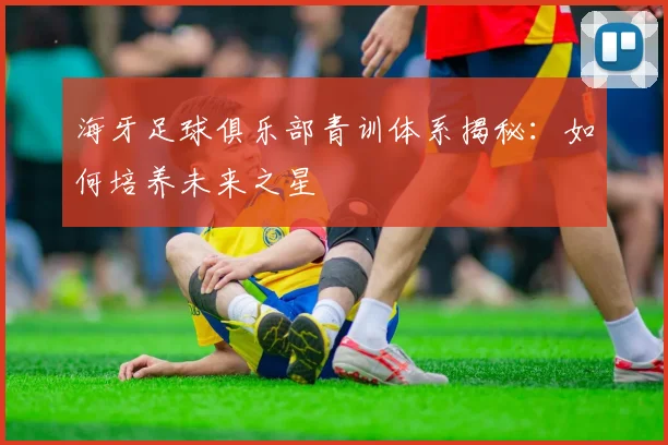 海牙足球俱乐部青训体系揭秘:如何培养未来之星